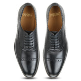 Cooper: Navy Blue Brogue Oxford