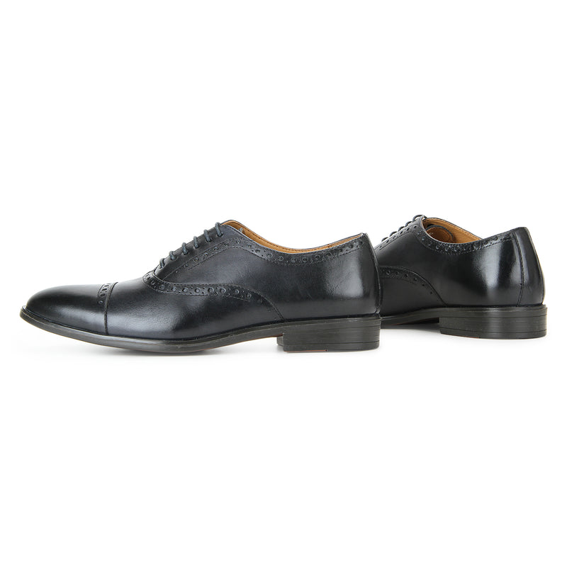Cooper: Navy Blue Brogue Oxford