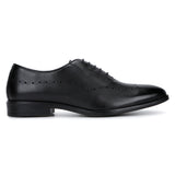 Covent: Black Longwing Oxford