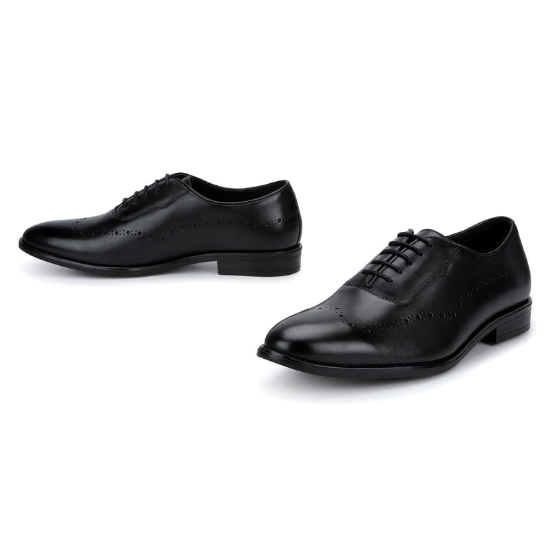 Covent: Black Longwing Oxford